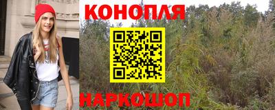 дживик Жуковский